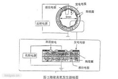 影響臭氧發(fā)生的主要因素有哪些？